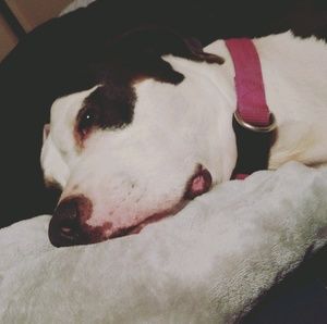 Meet your Posher, Jada